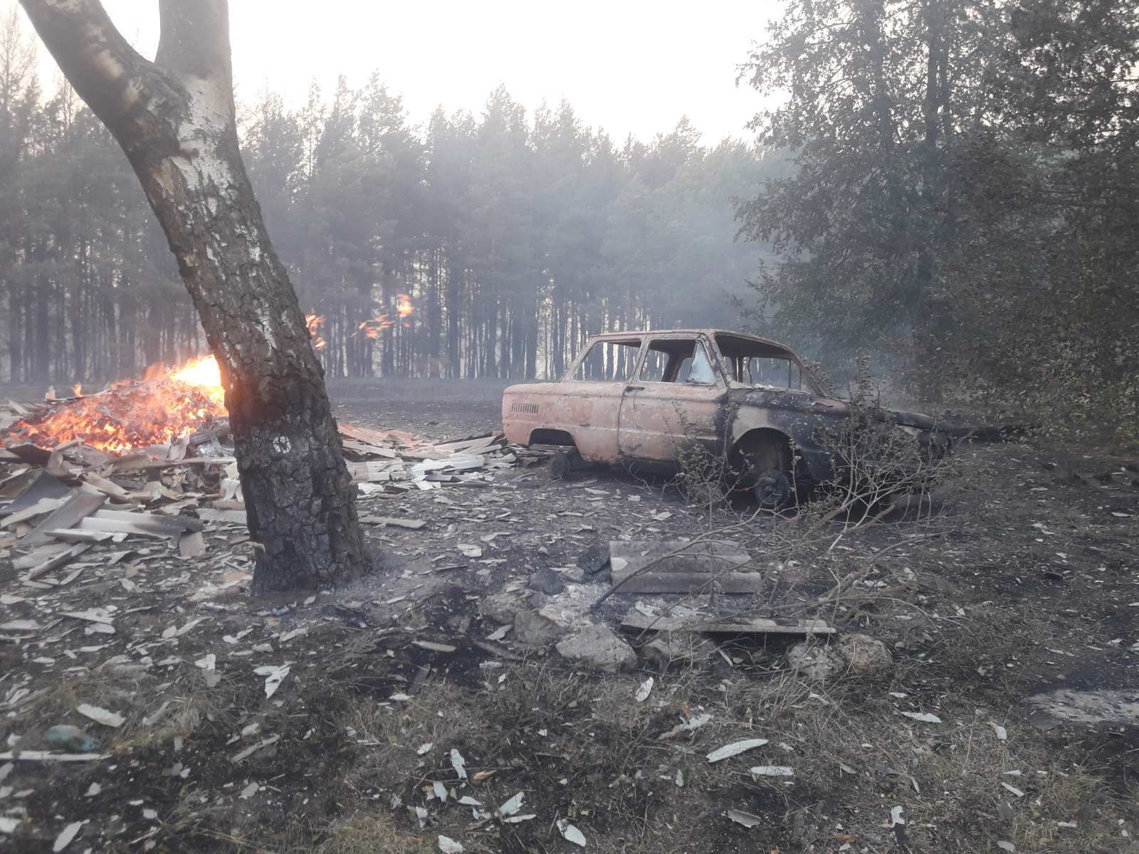 Лесной пожар в Харьковской области