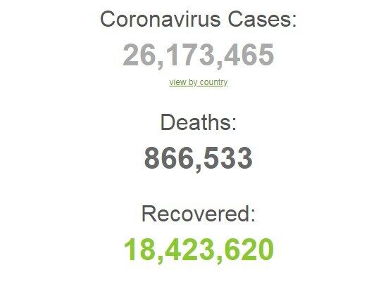 Коронавирусом заразились более 26,1 млн человек в мире. .