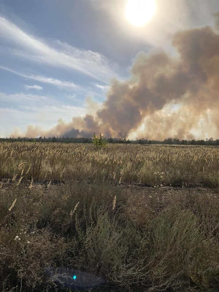 До ліквідації пожеж на Луганщині притягнуто військових і поліцію.