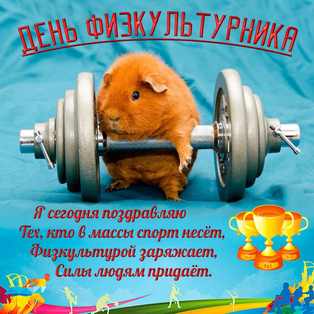 С Днем физкультуры Украины: открытка