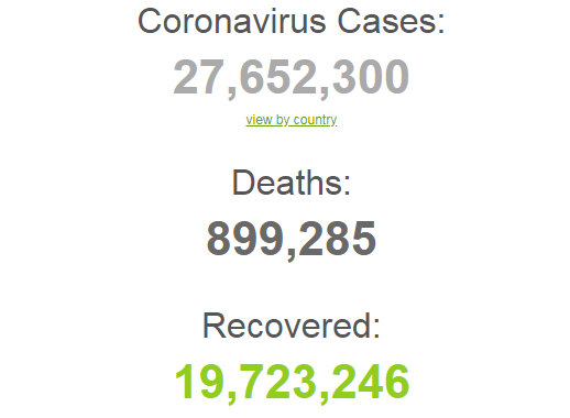 Коронавирусом заразились более 27,6 млн человек в мире.