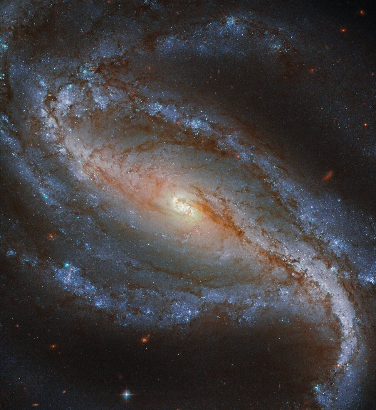 Галактика NGC 613