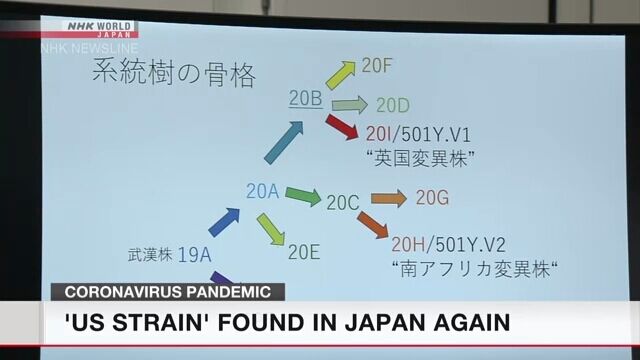 Японский мутант коронавируса оказался "родом" из США