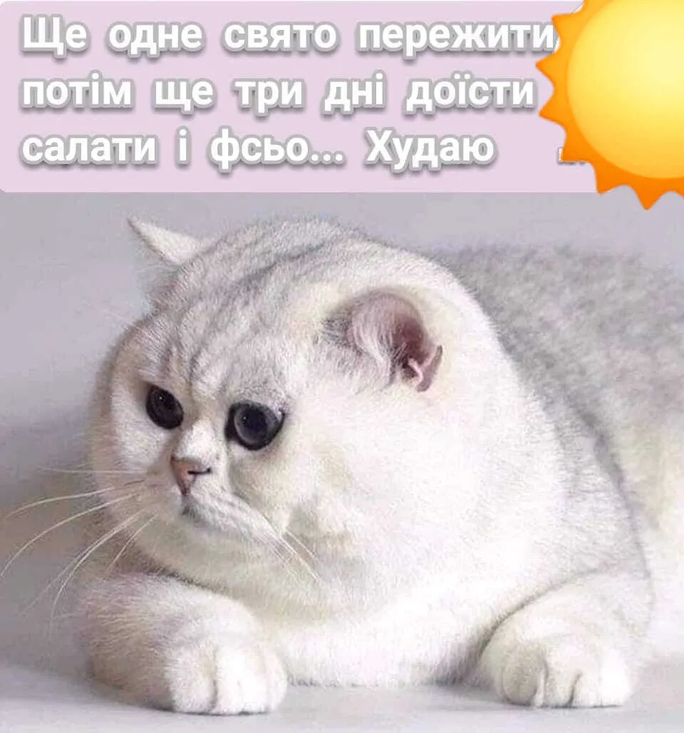 Анекдоты дня - смешные приколы и шутки за 14 января