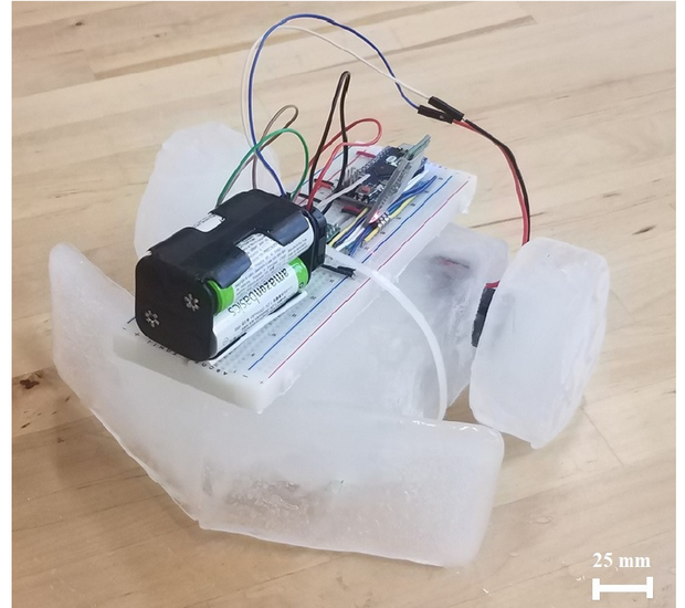 Прототип двоколісного робота IceBot