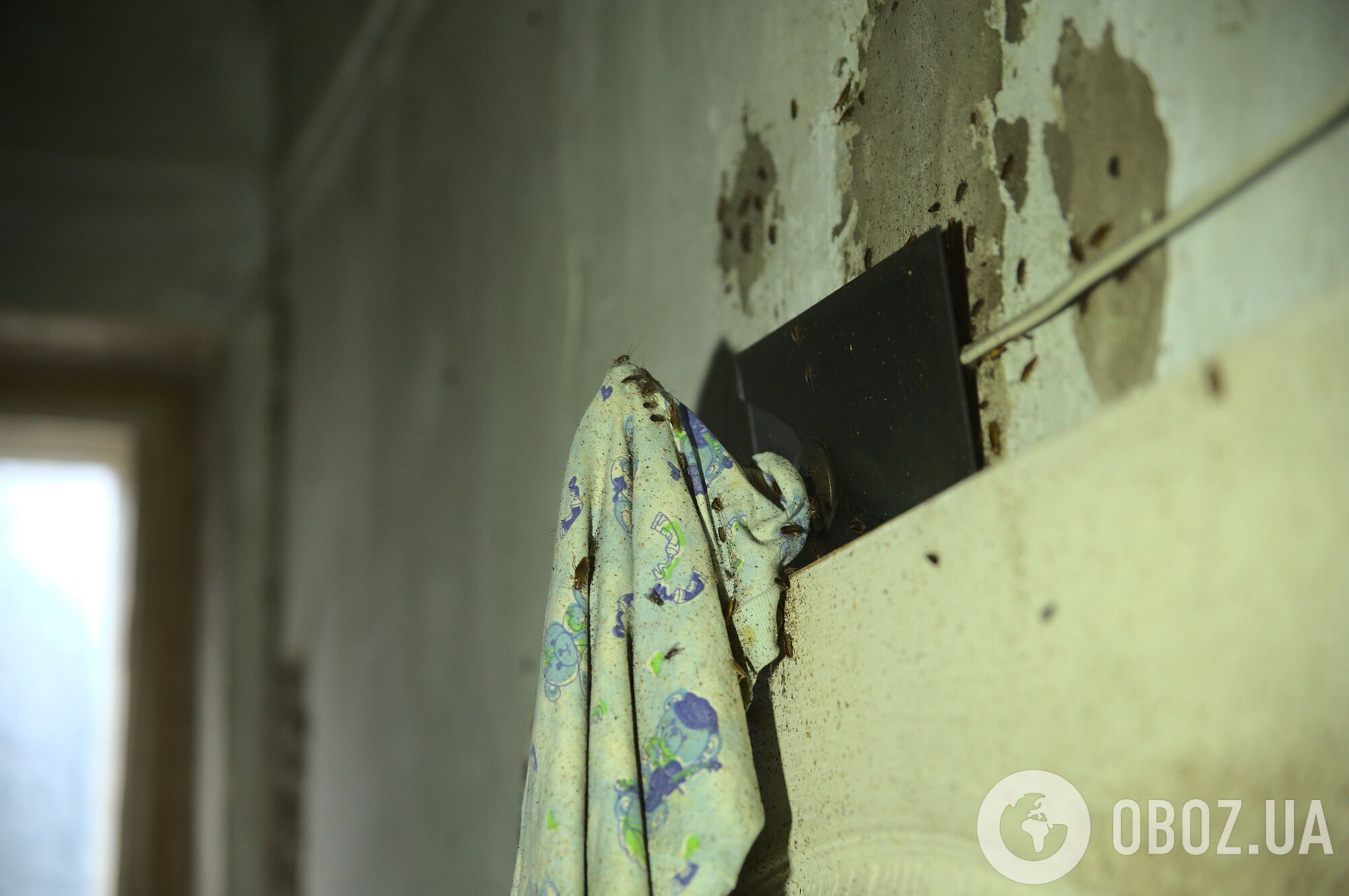Тараканы заполонили все уголки в захламленной квартире в Харькове