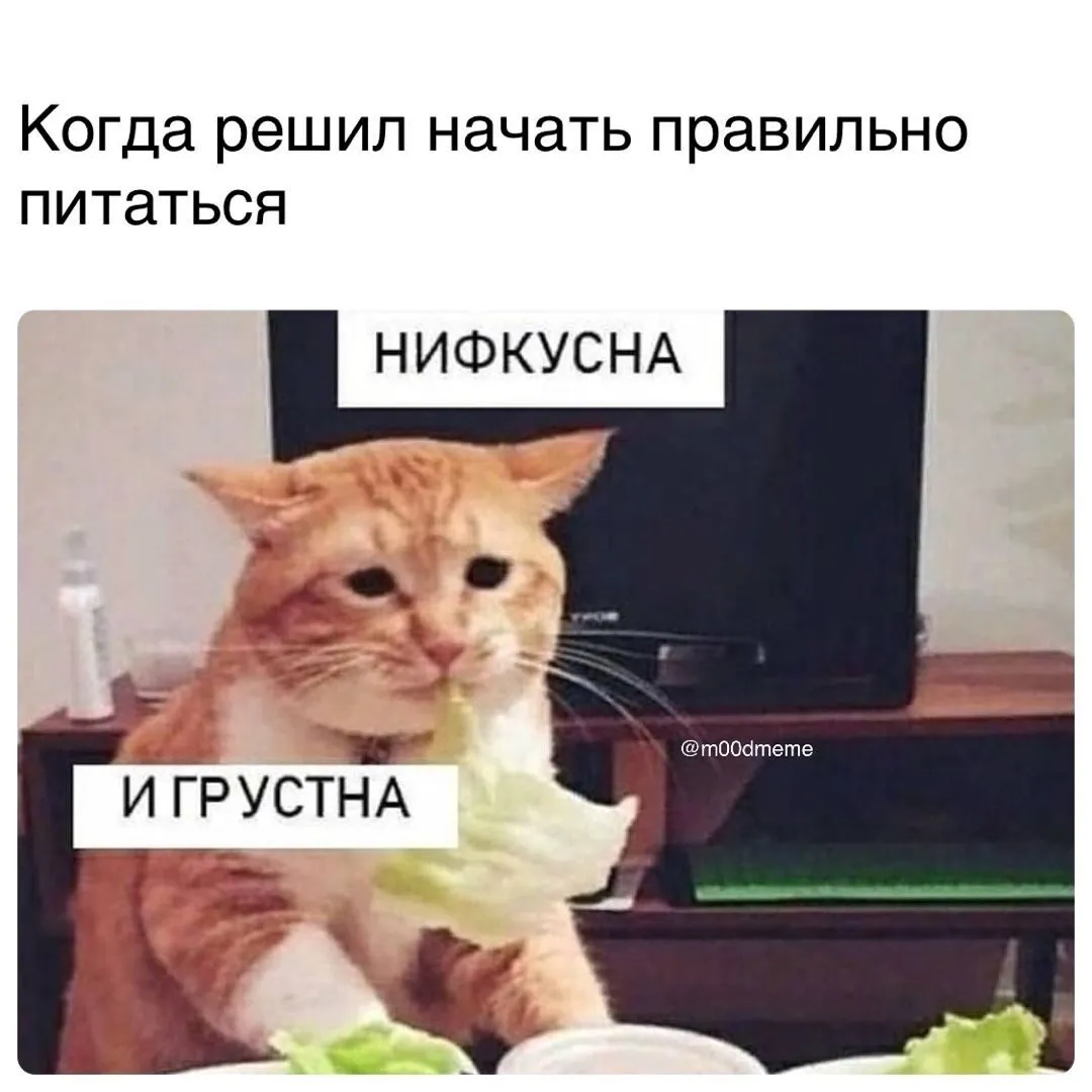 Анекдоты, приколы, шутки и мемы дня: 29 января