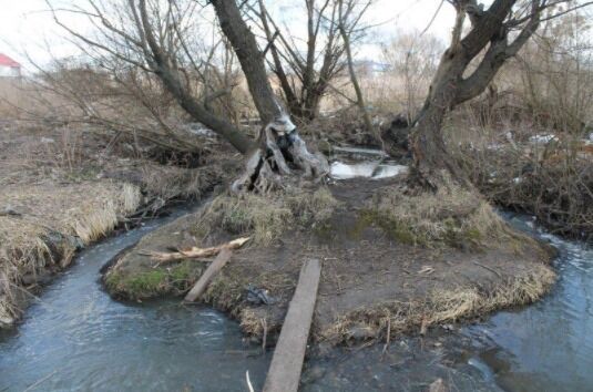 Понад 50 км бруд зі смуги Жулян розноситься по Києву та області