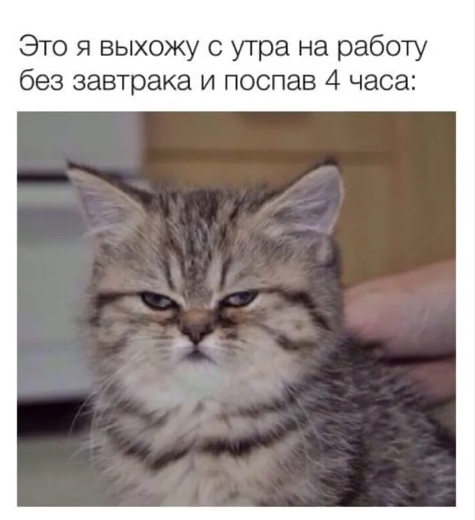Анекдоты дня: лучшие шутки и мемы за 11 октября