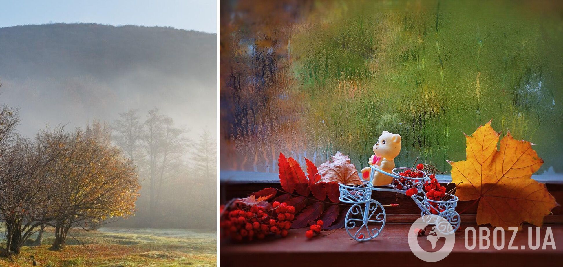 13 октября туман окутает западные области, в других регионах будет дождливо