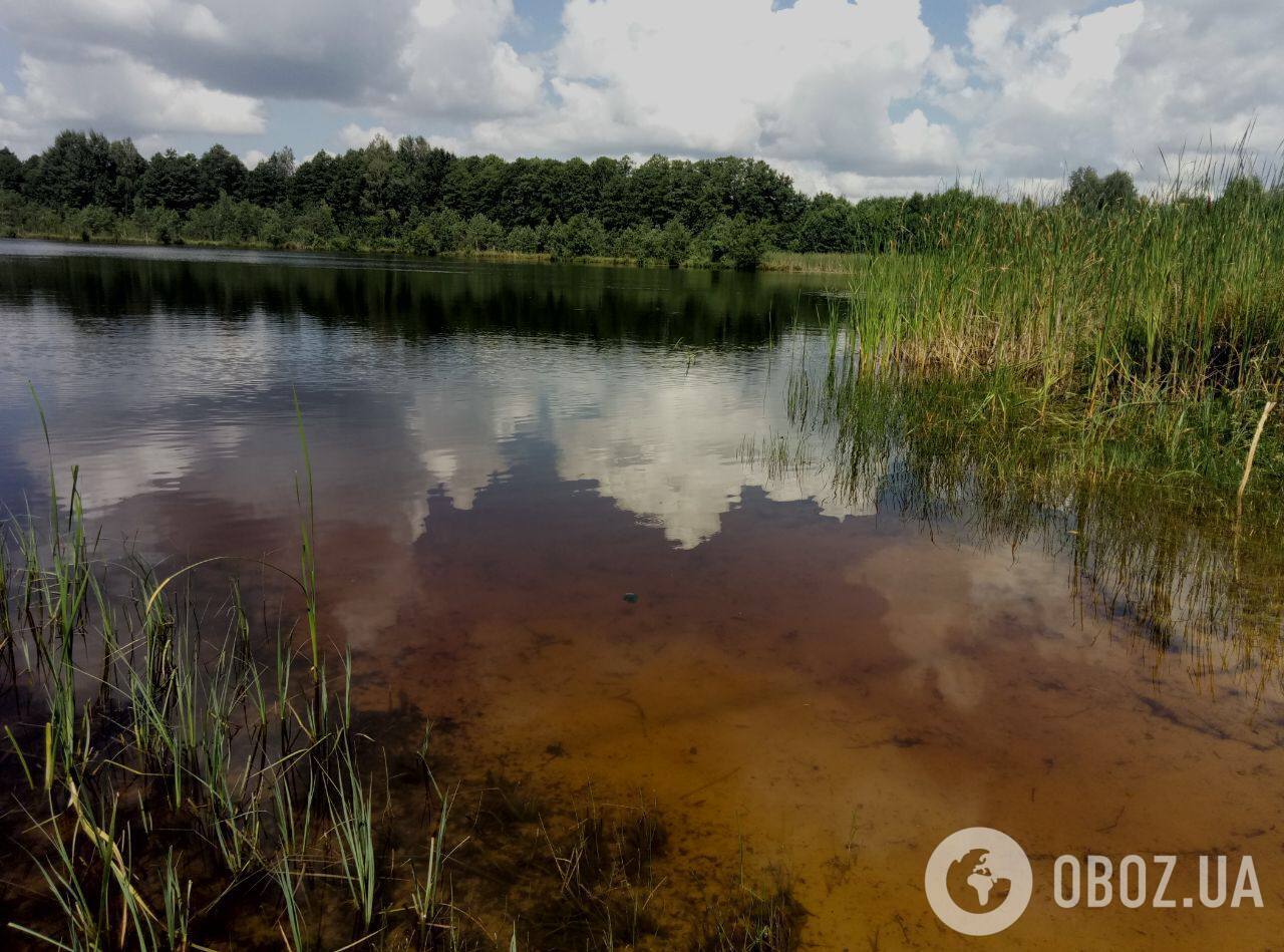 Шацькі озера ідеально підходять для сімейного відпочинку.