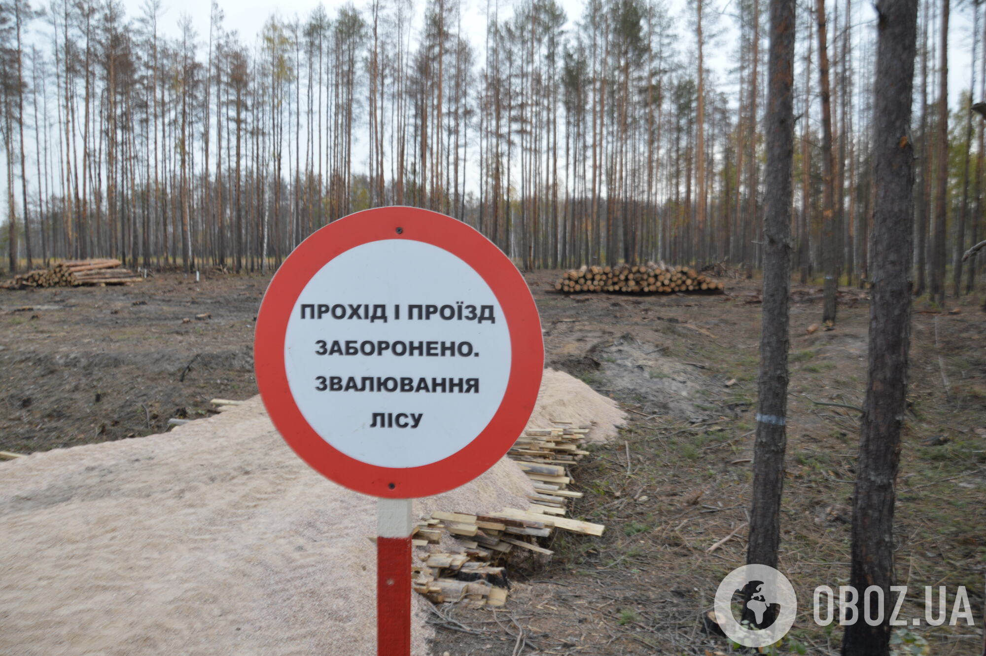 Расчистка леса после пожара в Овручском лесничестве