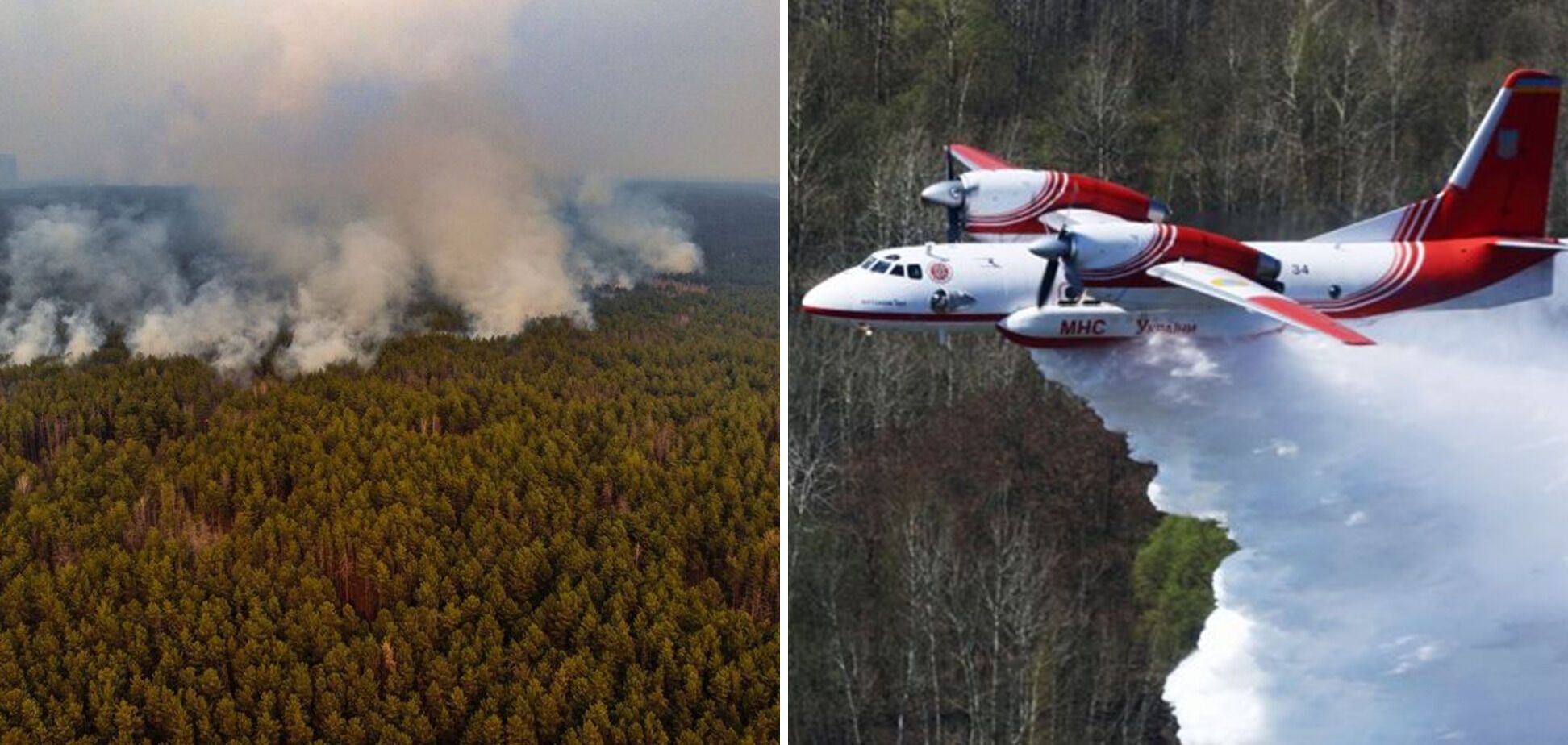 Пожары в Житомирской области в 2020 году