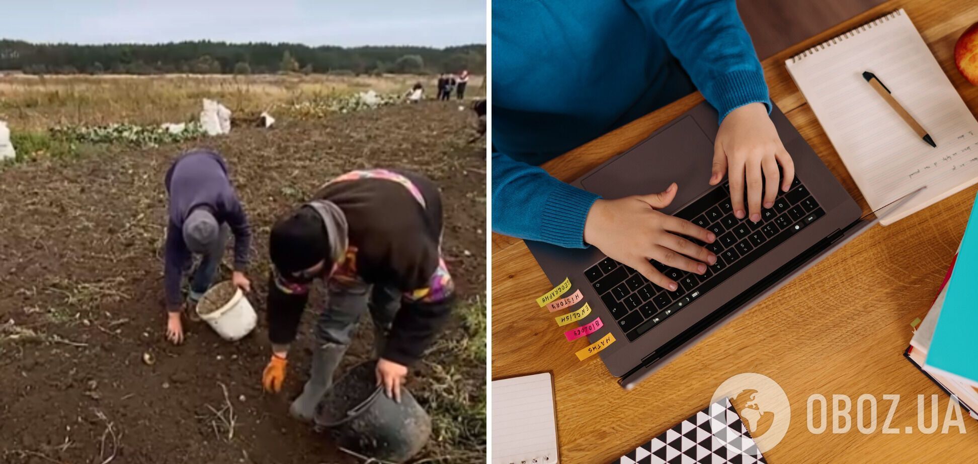 Замість навчання онлайн – діти збирають картоплю