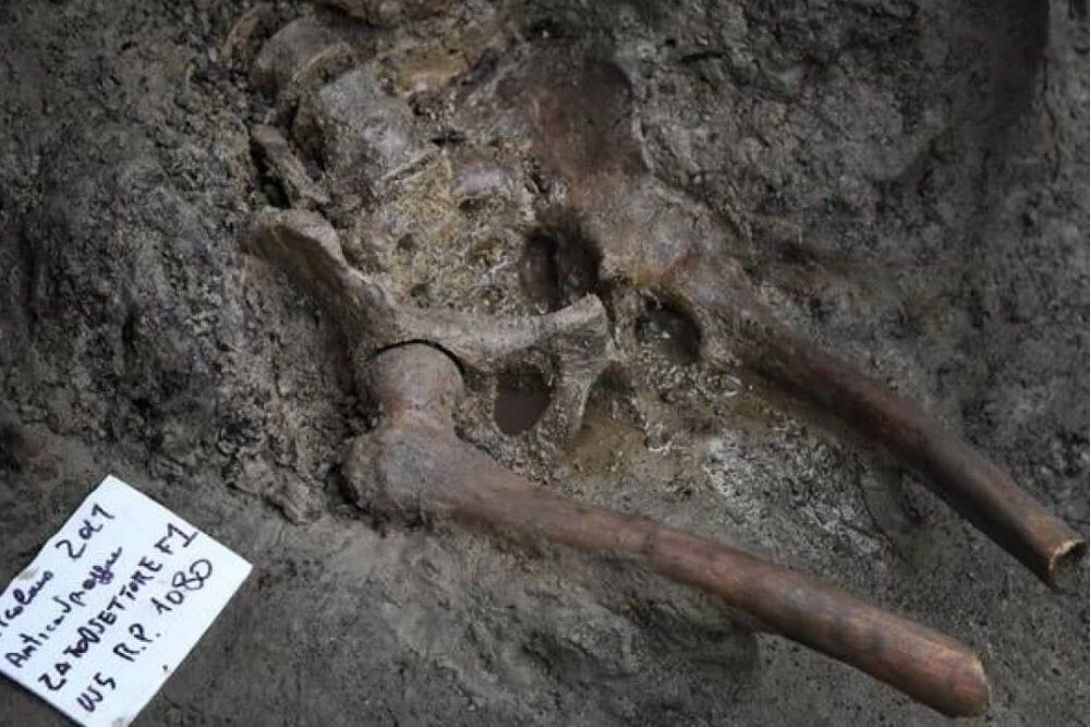 Раскопки у древнеримского города Геркуланум привели к находке останков мужчины.