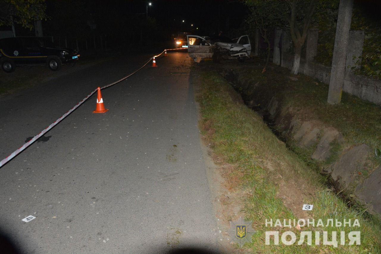 За попередніми даними, автівка з'їхала у кювет