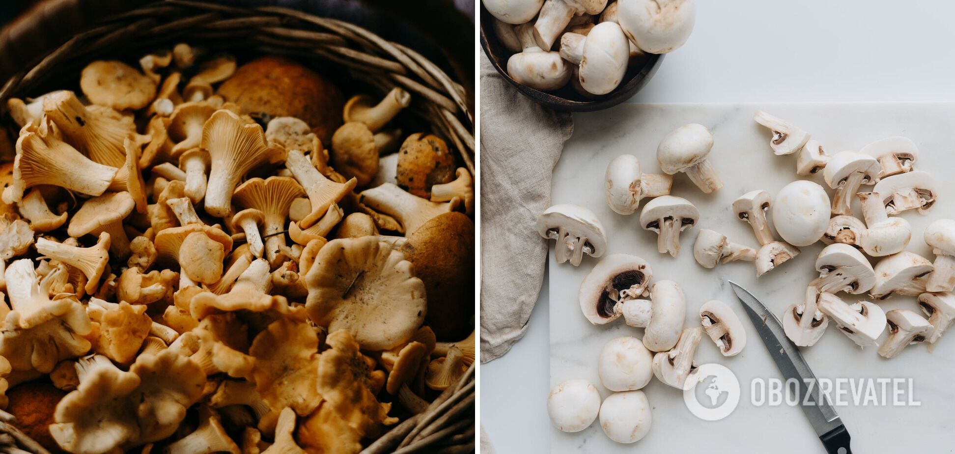Лисички и шампиньоны – одни из самых полезных грибов