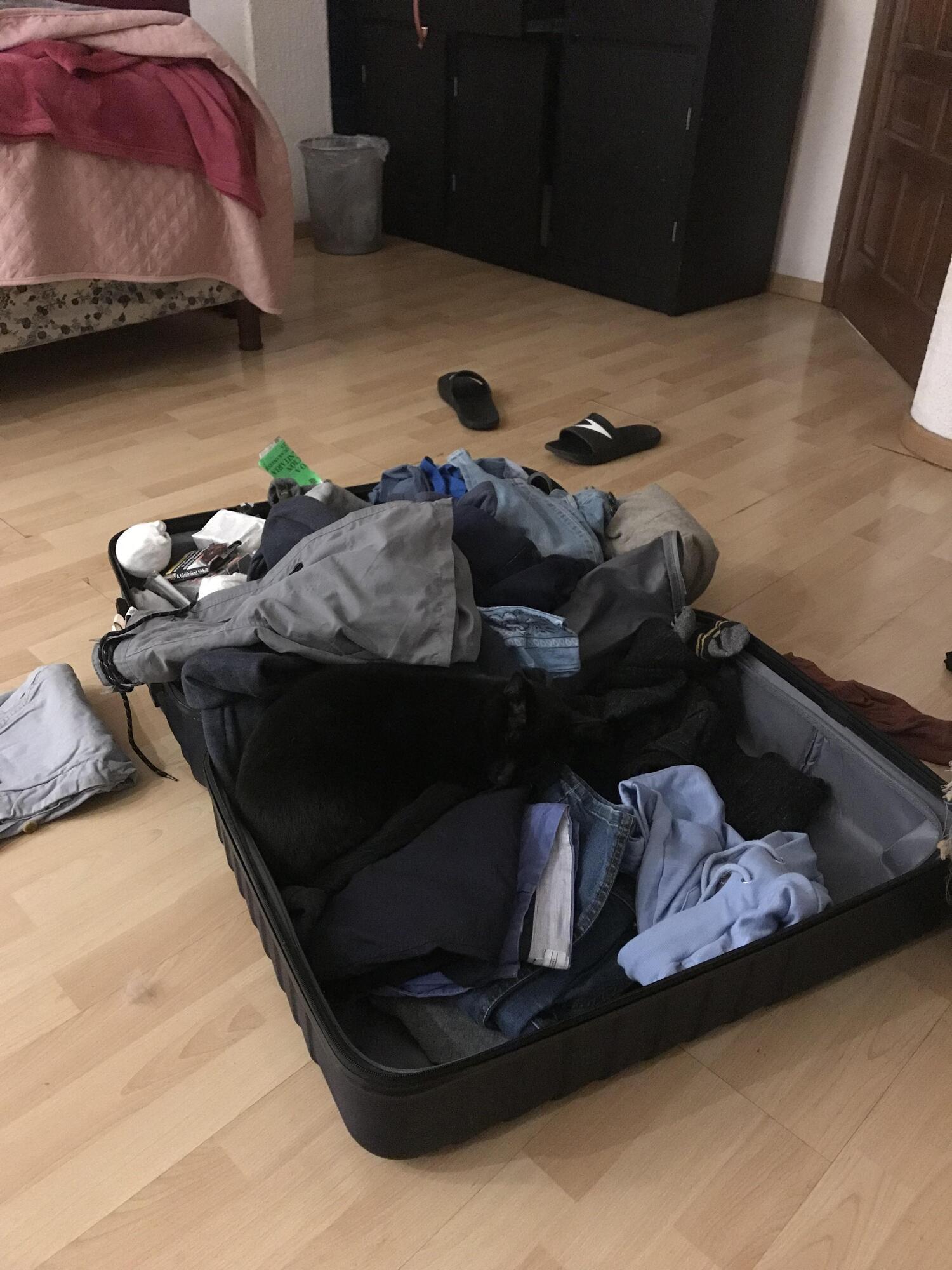 Кот спрятался в чемодан.