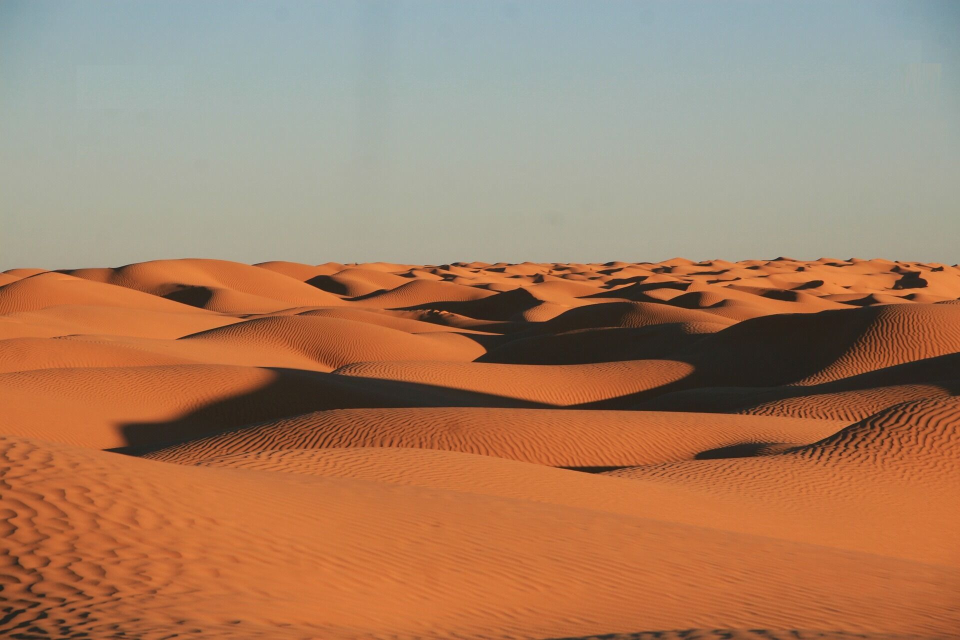 Сахара вважається найбільшою пустелею у світі.