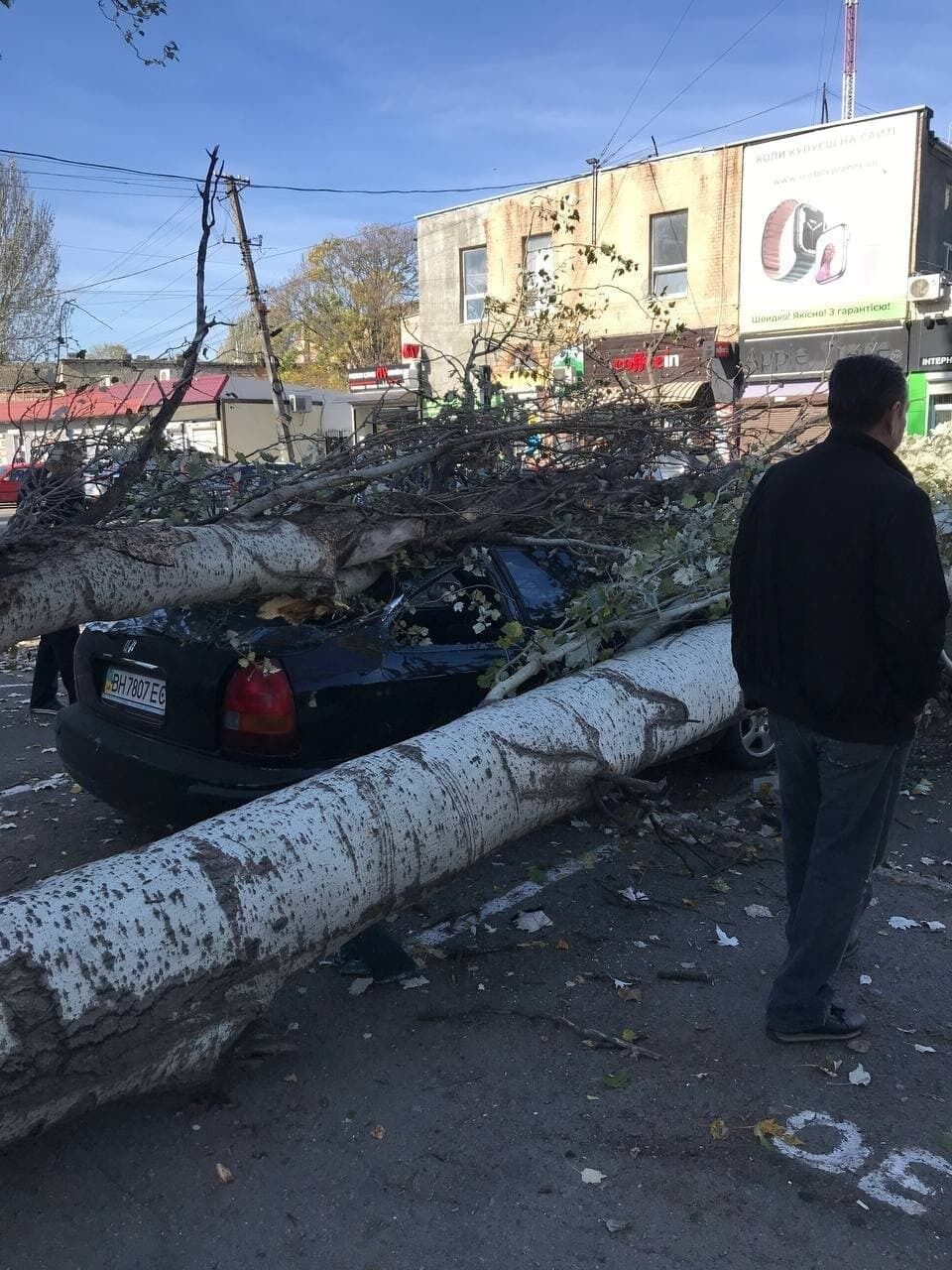 Огромное дерево упало из-за порыва ветра