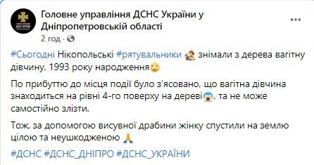ГосЧС в Днепропетровской области сняла с дерева беременную женщину