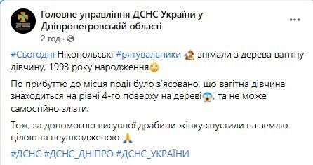 ДСНС у Дніпропетровській області зняла з дерева вагітну жінку