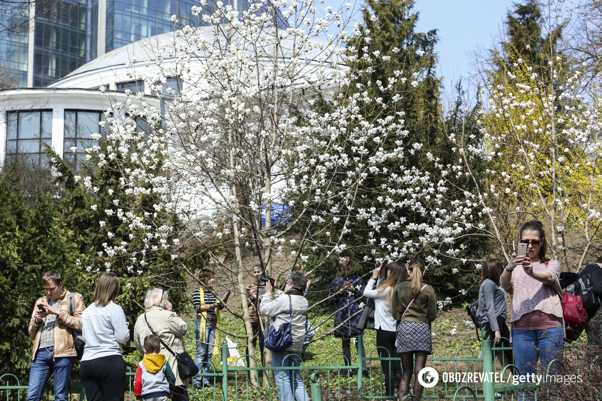 В Ботаническом саду каждый год цветут магнолии.