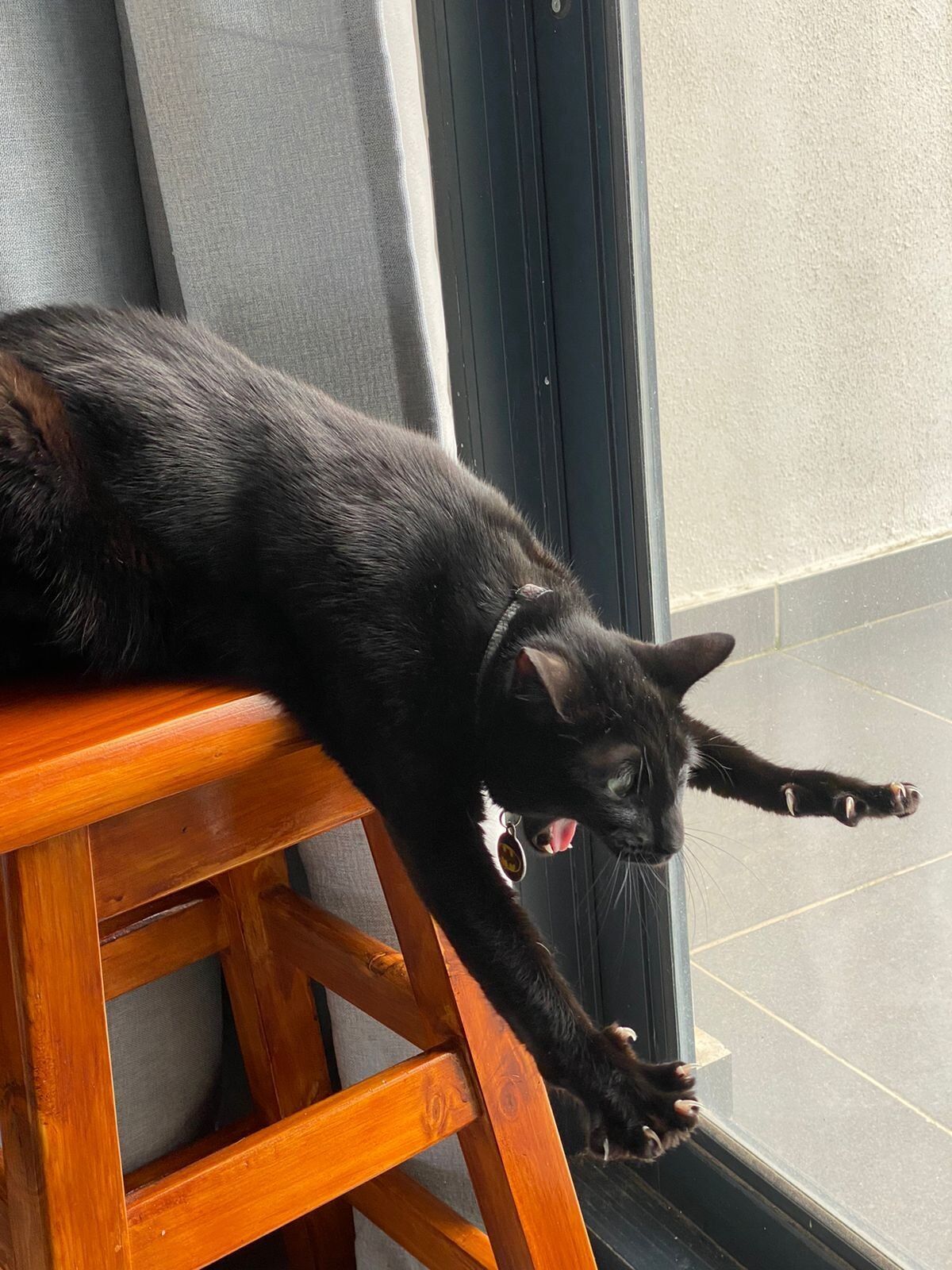 Чорний кіт падає