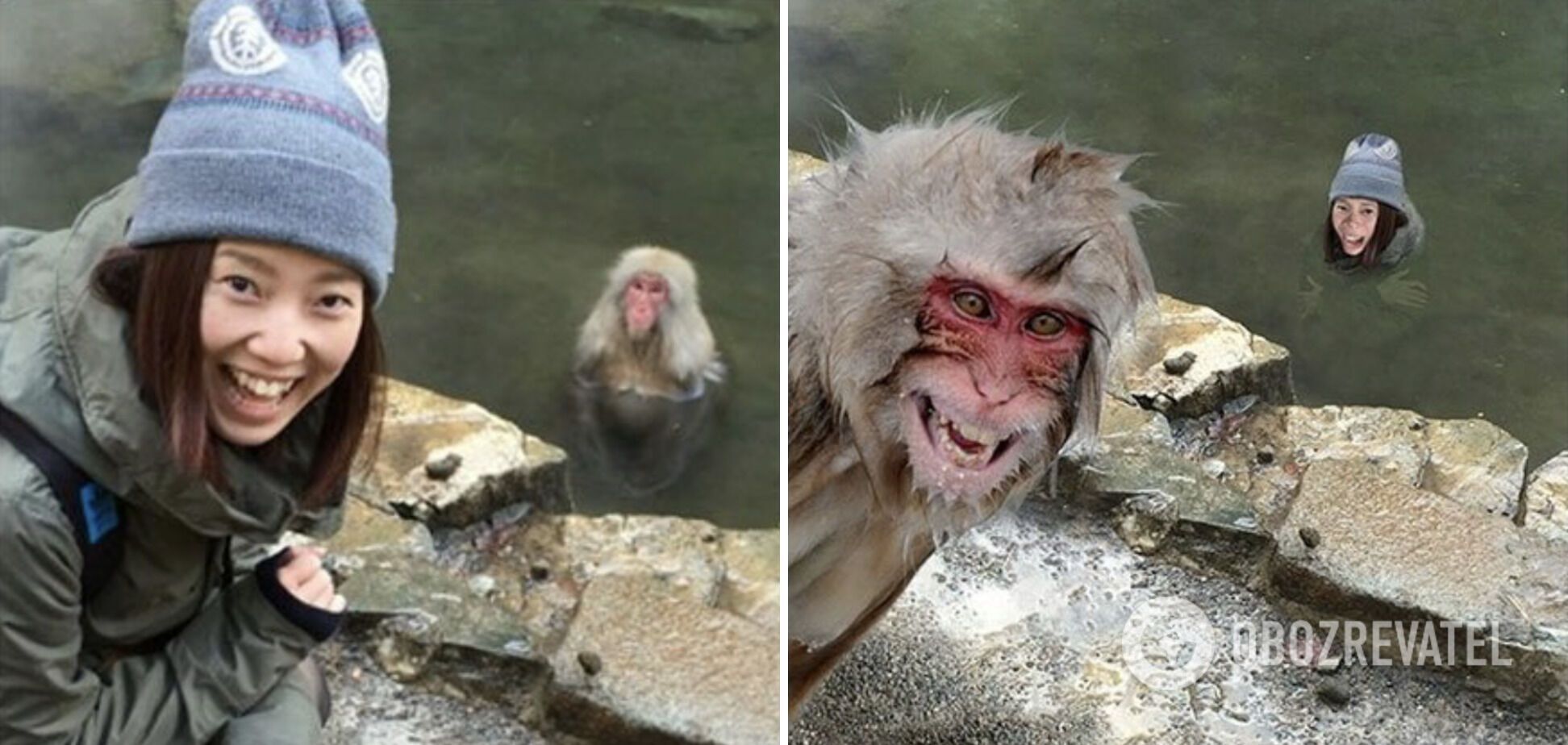 Ретушер сделал обезьяну более улыбчивой.