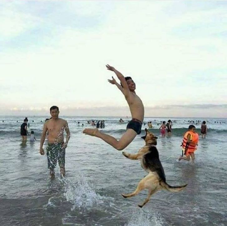 Фотограф подобрал удачный ракурс и зафиксировал прыжок