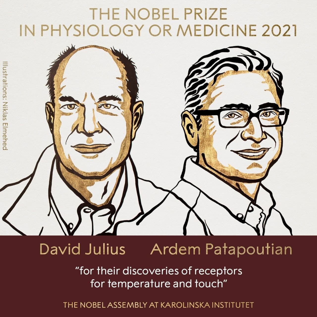 Нобелевские лауреаты в области физиологии и медицины 2021 года