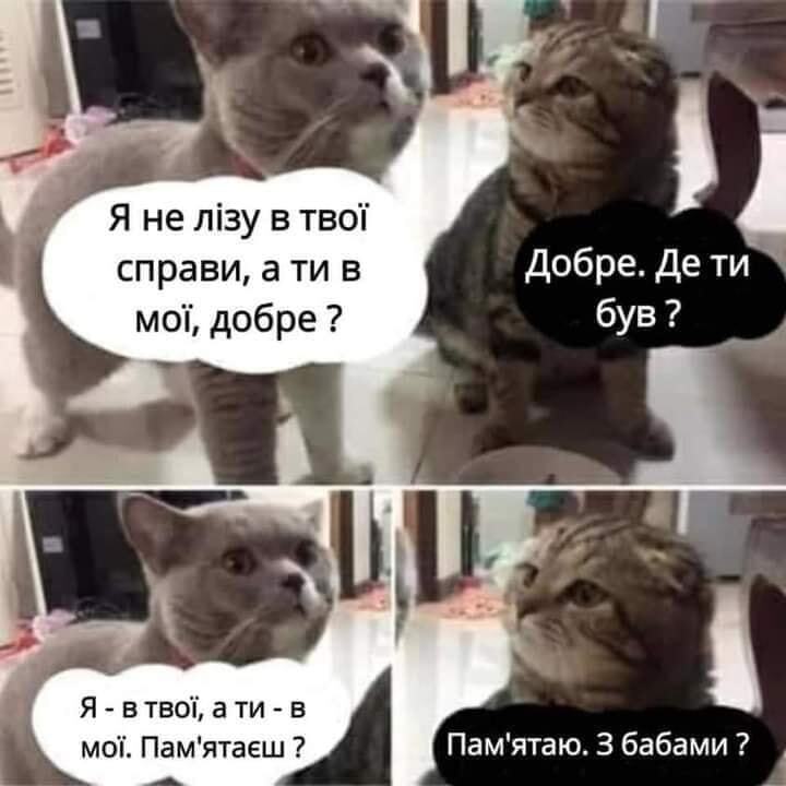 Мем про отношения