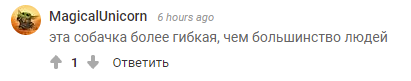 Пользователи отметили гибкость четырехлапого