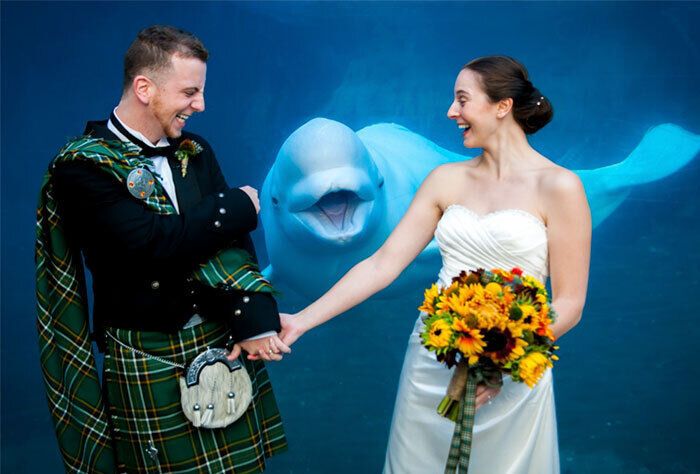 Дельфин был главным гостем на свадьбе.