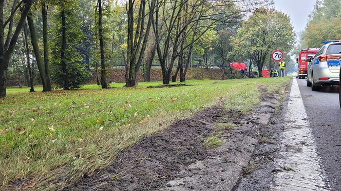 Причини смертельної аварії з українцями встановлюють польські поліцейські