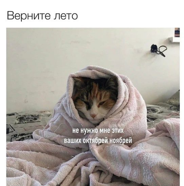 Шутка про осень