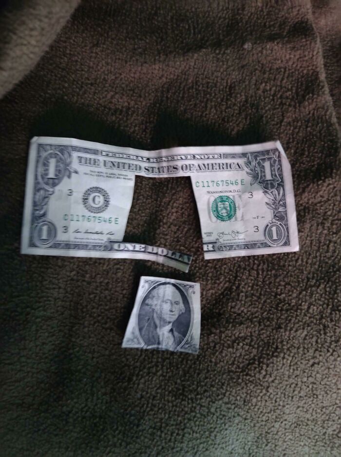 Ребенок начал вырезать картинки из бумажных денег