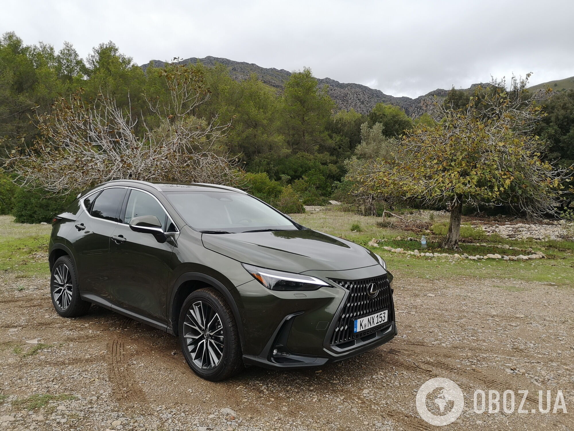 Вперше у модельній гамі Lexus модель NX з'явилася у 2014 році та за минулі роки власниками цього кросовера стали понад 175 тисяч автолюбителів