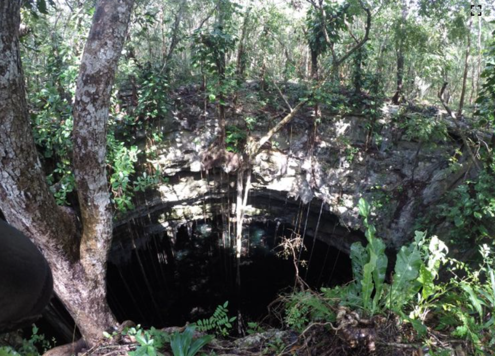 Уникальную находку сделали археологи на севере полуострова близ руин Чичен-Ицы.