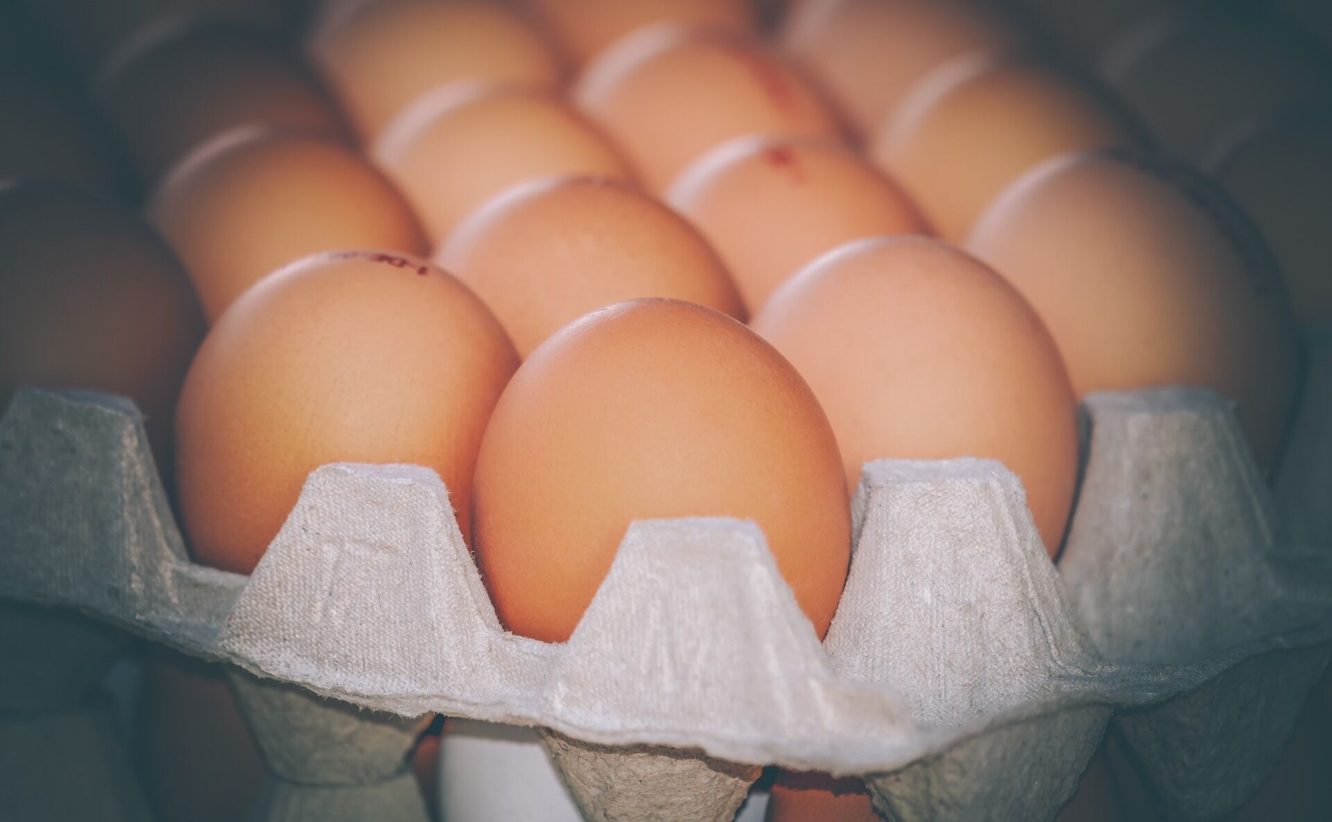 В Україні яйця можуть злетіти в ціні майже вдвічі: коли і скільки заплатимо