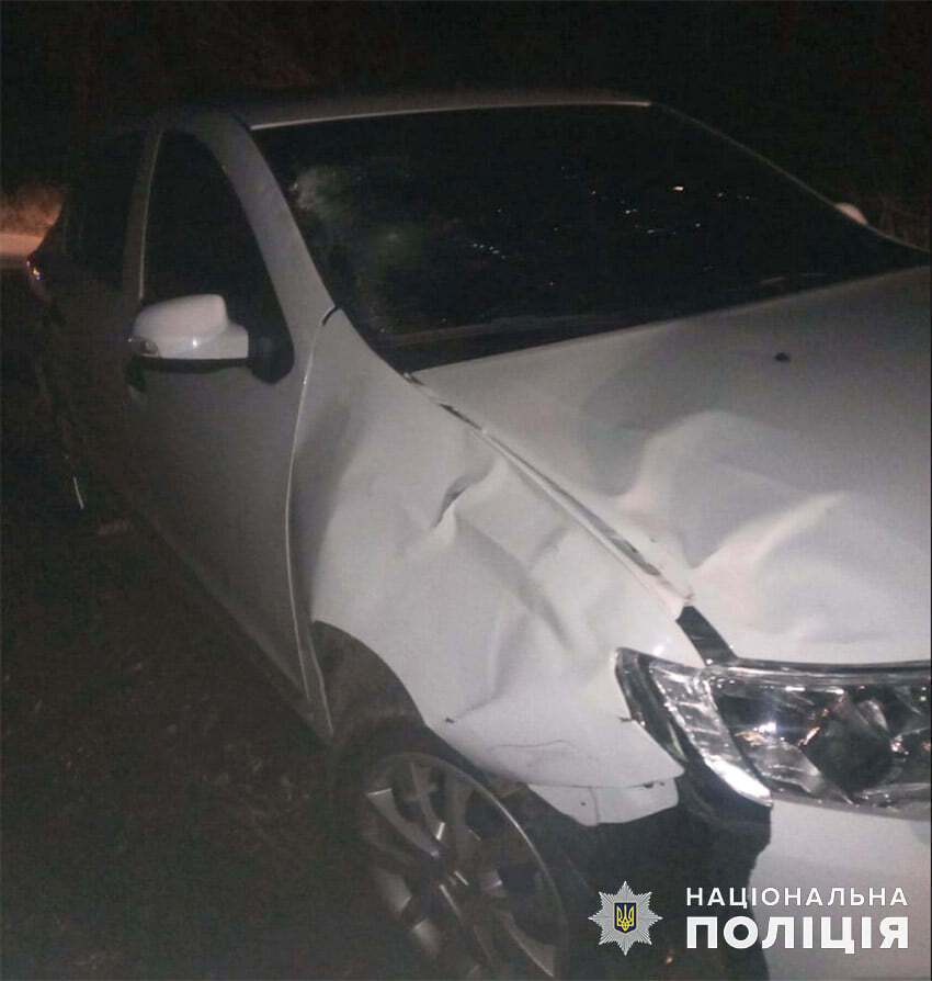 Водій Renault Logan збив жінок на дорозі
