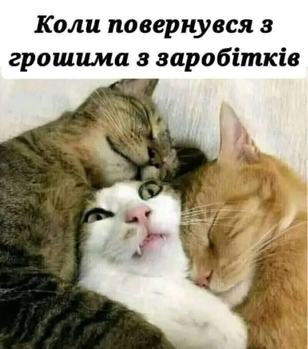 Анекдоты дня: лучшие шутки и мемы за 10 ноября