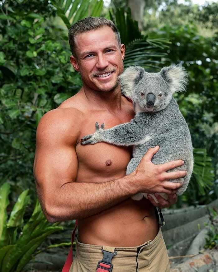 Спасатель позирует с коалой.