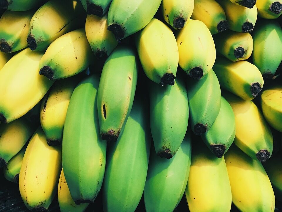 Зеленые бананы способствуют слаженной работе организма