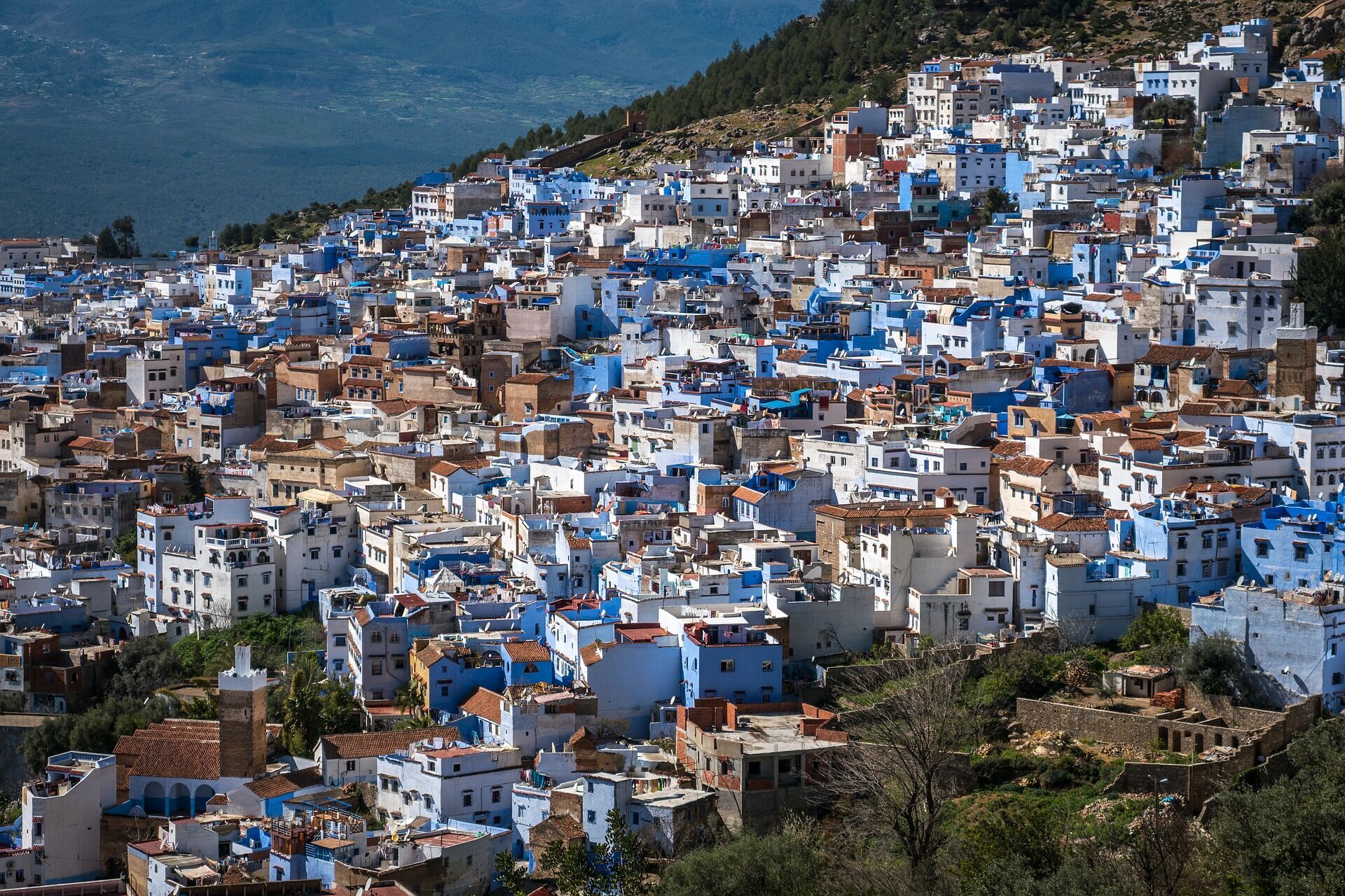 Шефшауэн в Марокко полностью окрашен в оттенки синего.