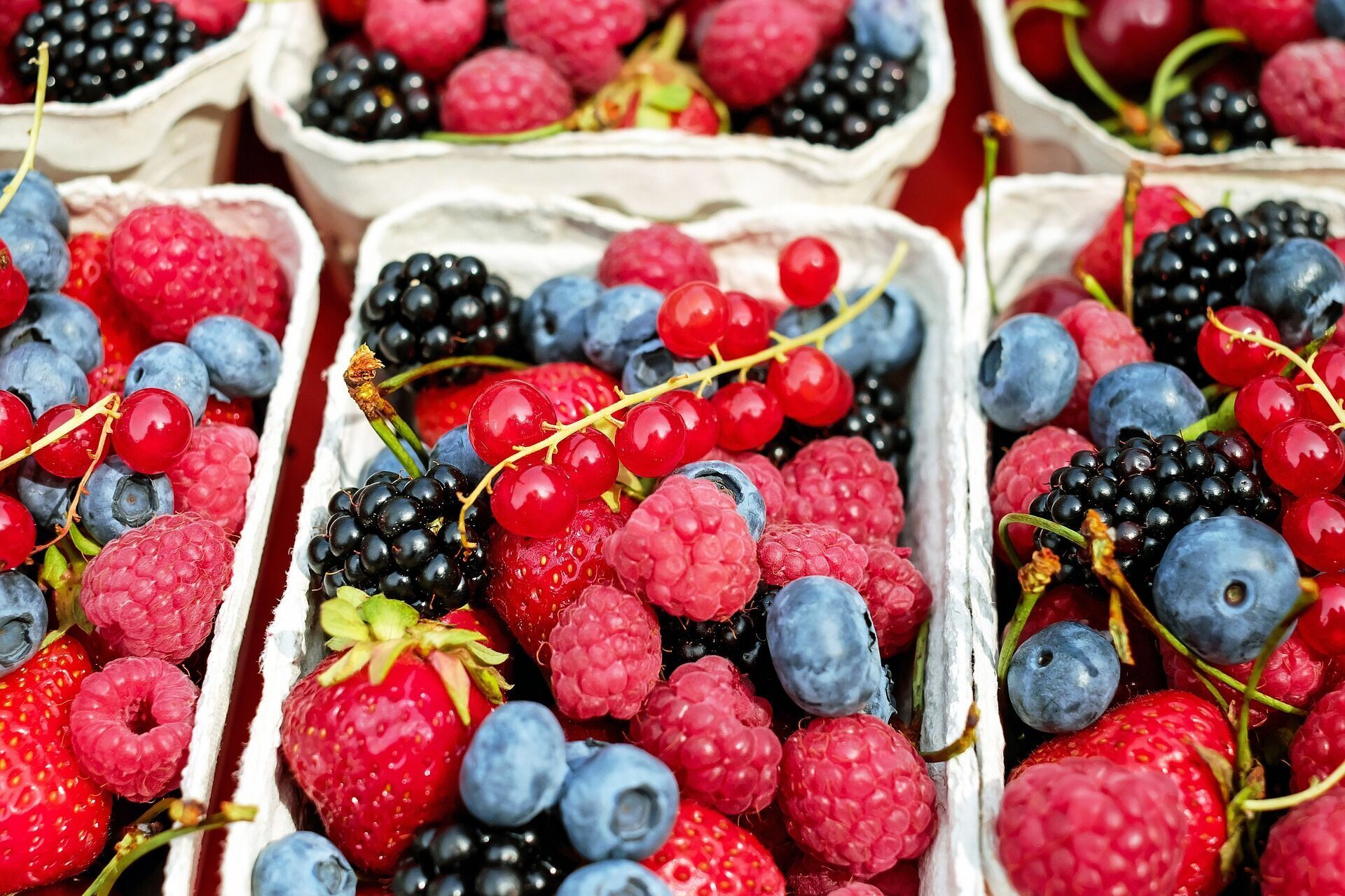 В Украине назвали самую дорогую и востребованную ягоду сезона
