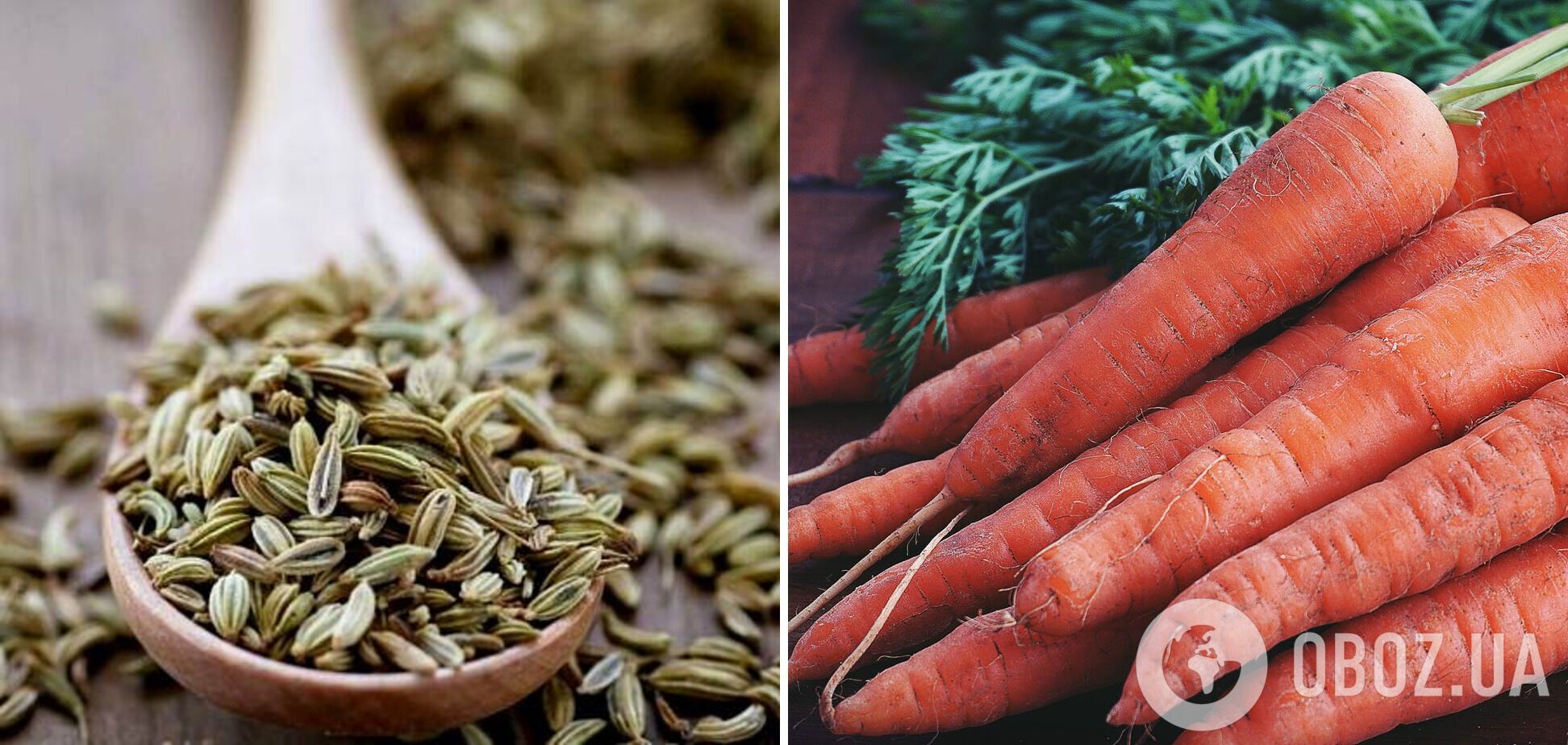 Аніс та морква – інгредієнти для страви