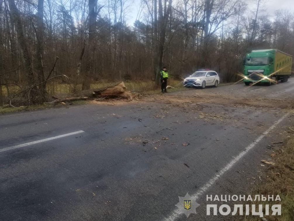 Последствия урагана на Черниговщине.