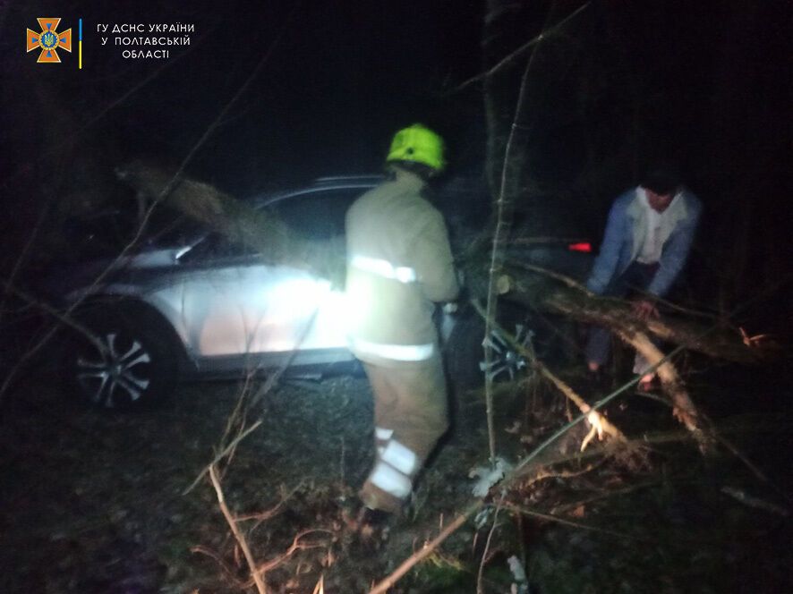 Авто Toyota RAV4 столкнулось с деревом