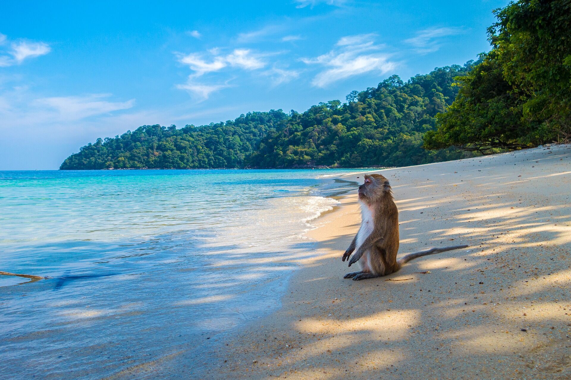 В Таиланде велик выбор пляжных курортов.